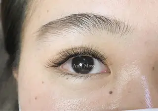 マツエク・マツパ 無料モデル募集中 Ann Mossのマツエク・マツパデザイン