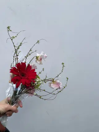 カラー ルプラボウ　森 伸衣のヘアスタイル