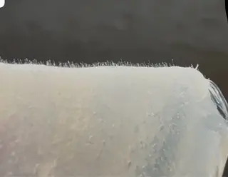 saiun 和花恵のその他イメージ