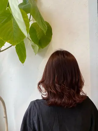 ミディアム 韓国ヘア🕊村上 ののこ🕊のヘアスタイル