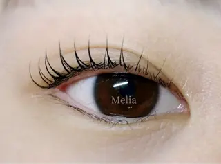 マツエク・マツパ Melia Chieのマツエク・マツパデザイン