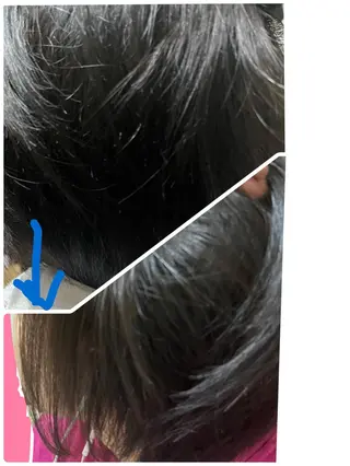 ショート カミ ジマのヘアスタイル