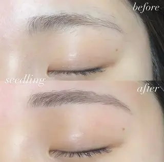 アイブロウ シードリン 府内店 杉田のマツエク・マツパデザイン