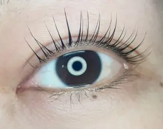 マツエク・マツパ v i v i ❁サロンリアン❁のマツエク・マツパデザイン