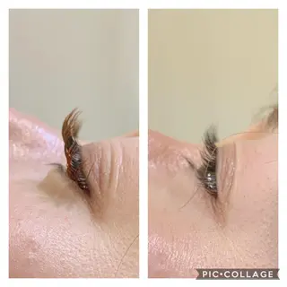 マツエク・マツパ Daisy hair eyelashのマツエク・マツパデザイン