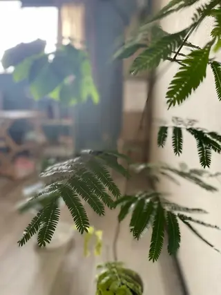 MoonLeaf ashiyaのエステ・リラクイメージ