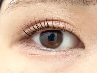 マツエク・マツパ Lien 川崎店【リアン】所属・LUANATOKYO 🫧武蔵小杉のマツエク・マツパデザイン