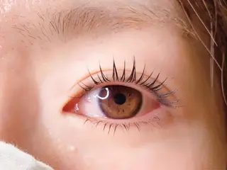 マツエク・マツパ 北川 広行のヘアスタイル