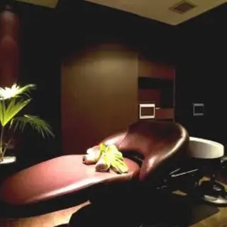 カーリーパーマ/ 透明ｶﾗｰ/MIKUのヘアスタイル