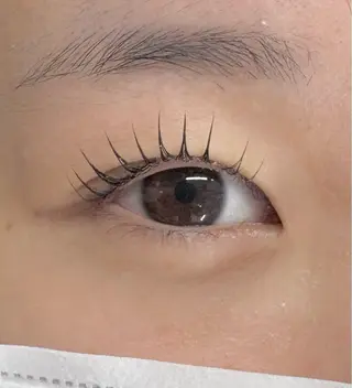 マツエク・マツパ Holus Moriguchiのマツエク・マツパデザイン