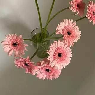 田川 きららのマツエク・マツパデザイン