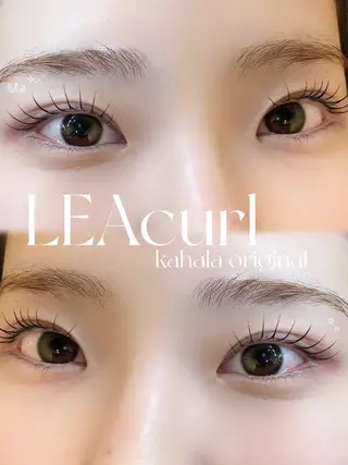 マツエク・マツパ Fujimoto 🦭⸝⋆꙳のマツエク・マツパデザイン