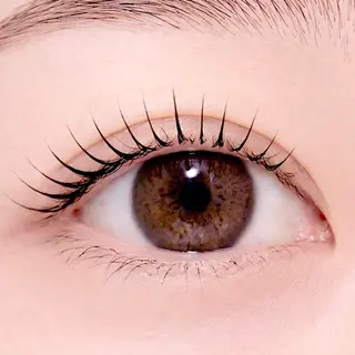 マツエク・マツパ まつ毛・眉/ 練習＆モニター専用のマツエク・マツパデザイン