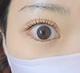 マツエク・マツパ まつげ眉毛サロン MILKの眉毛・アイブロウイメージ