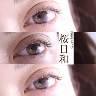 マツエク・マツパ 京都のまつげ桜日和 小島美桜のマツエク・マツパデザイン
