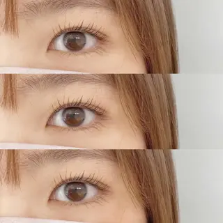 マツエク・マツパ Lily (リリー) 🔰下坂のマツエク・マツパデザイン