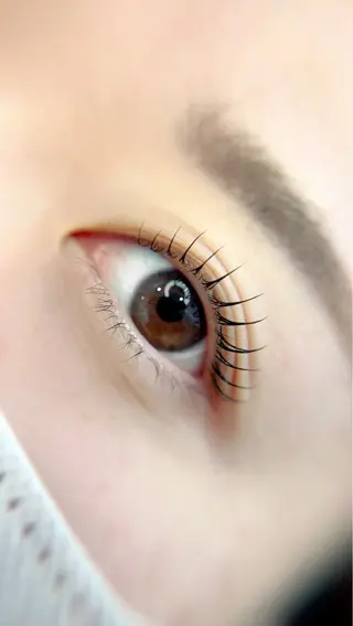 マツエク・マツパ Maile leaf 【マイレリーフ】のマツエク・マツパデザイン