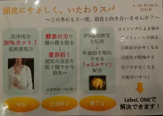 Crea所属・清水 旭美のヘアスタイル