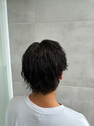 ショート パーマ メンズ ニュアンスパーマ/ フェザー/マッシュのヘアスタイル