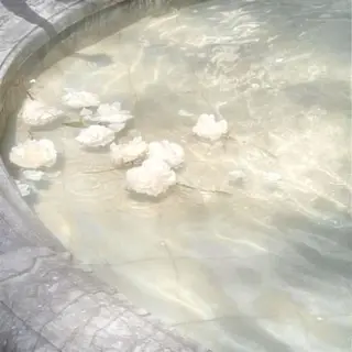 🎀マリーテレジア OKAZAWA🎀のマツエク・マツパデザイン