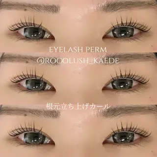 マツエク・マツパ Raviliss 武田のマツエク・マツパデザイン