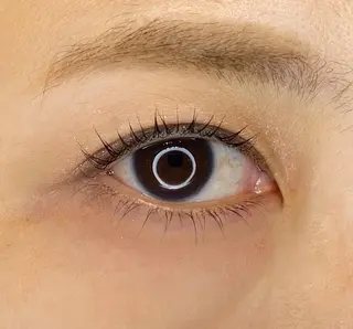 マツエク・マツパ carina所属・東戸塚 carinaのマツエク・マツパデザイン