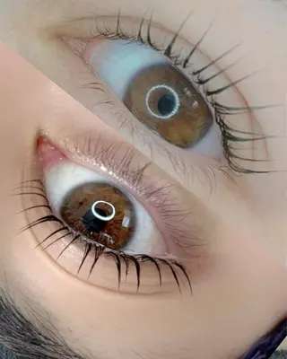 マツエク・マツパ 阿部 ライサのマツエク・マツパデザイン