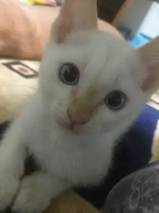 小野塚 充のエステ・リラクイメージ