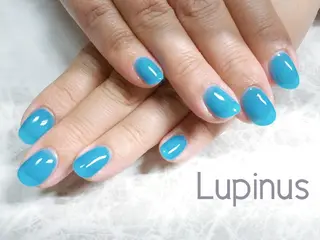ネイル Lupinus ルピナスのネイルデザイン