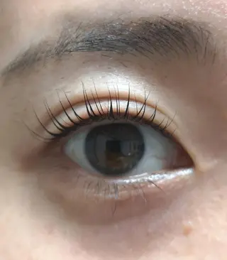 マツエク・マツパ Camel 🐫のマツエク・マツパデザイン