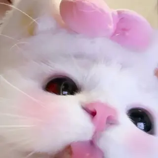 マツエク・マツパ 🎀eyelist. mizuki🐈⬛の眉毛・アイブロウイメージ