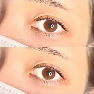 マツエク・マツパ Camarón まつ毛&眉毛サロンのマツエク・マツパデザイン