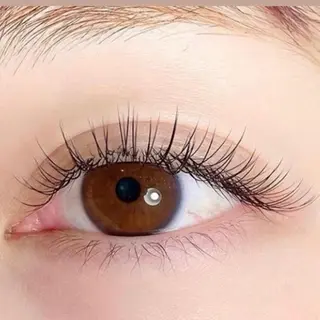 マツエク・マツパ proof lash browの眉毛・アイブロウイメージ