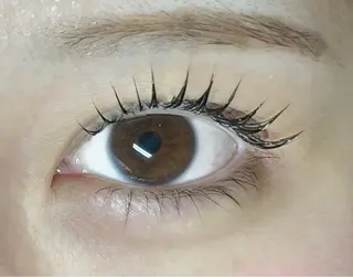 マツエク・マツパ Luna Brow YUMEのマツエク・マツパデザイン