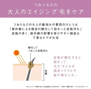 POLA四軒家店 杉山のエステ・リラクイメージ