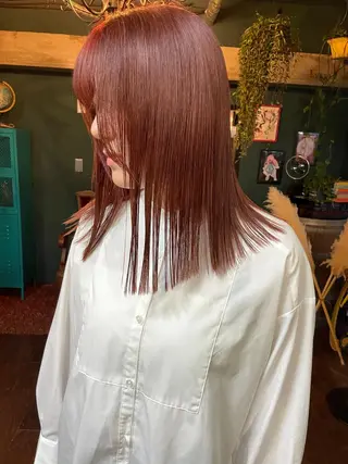 セミロング vivre libreのヘアスタイル