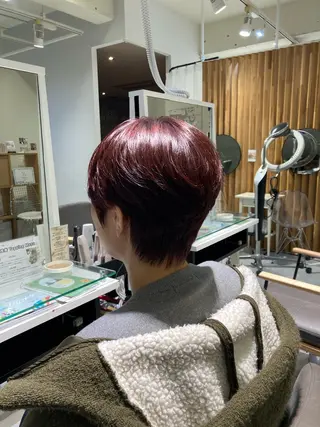 ショート 🫧ゆうき🪽 髪質改善/ハイライトのヘアスタイル