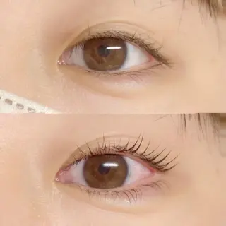 マツエク・マツパ CITRON ⭐︎のマツエク・マツパデザイン