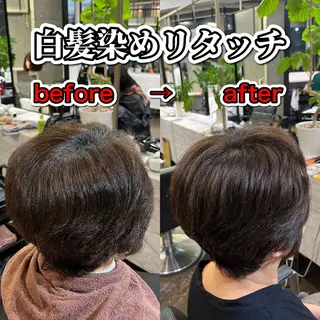 ショート カラー 柴田蓮太朗 [トーンアップ]のヘアスタイル