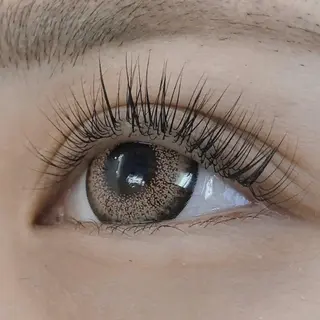 マツエク・マツパ BIONAS 【ビオナス】の眉毛・アイブロウイメージ