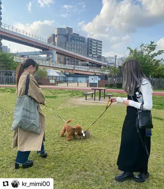 ミディアム カラー メンズ 🩷Eny terrace🩷のヘアスタイル