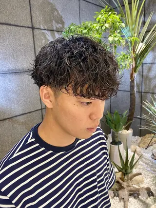 ショート パーマ メンズ 酸スト/フェザー パーマ/三谷海斗のヘアスタイル