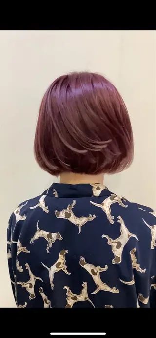 ショート カラー 美髪改善・レイヤー tadasuke⭐️のヘアスタイル