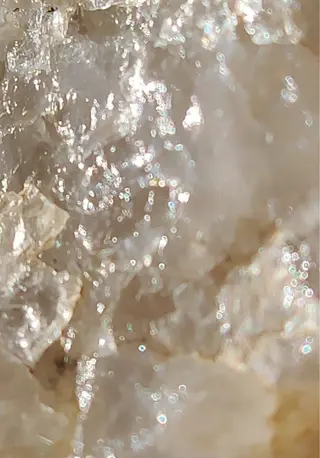 ネイル Nallsalon Plaisirbeauty所属・Plaisir beautyのネイルデザイン