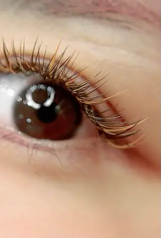 マツエク・マツパ Maile leaf 【マイレリーフ】のマツエク・マツパデザイン