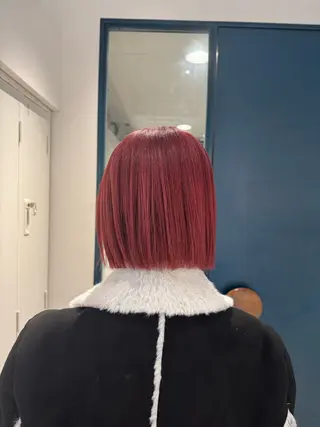 ショート カラー 艶髪/ハイトーン💎 レイヤー/Reijiのヘアスタイル