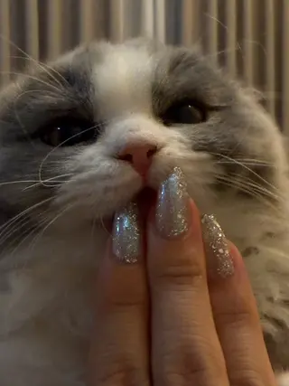 ネイル Hou'oli所属・ネイリスト kisakiのネイルデザイン