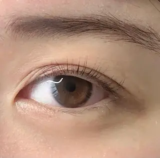マツエク・マツパ terios. MATSUDAの眉毛・アイブロウイメージ