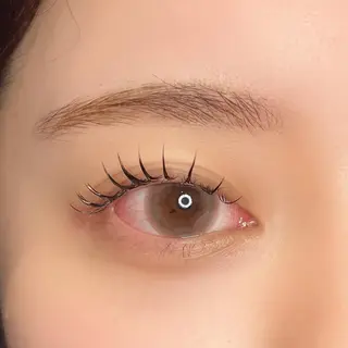 マツエク・マツパ ɴᴇʀᴏʟɪ ♡ ᴀʏᴀᴋᴀの眉毛・アイブロウイメージ