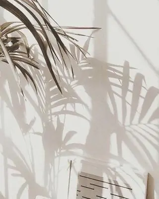 🌼 manaのマツエク・マツパデザイン